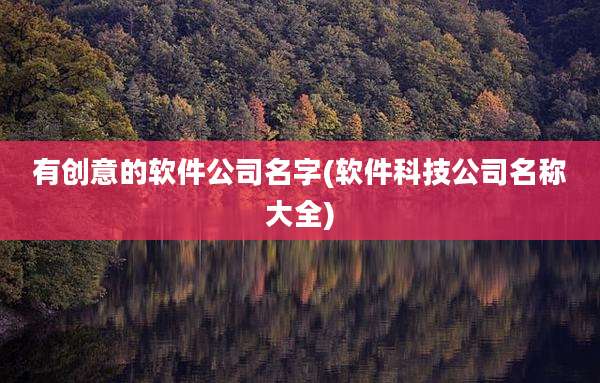 有创意的软件公司名字(软件科技公司名称大全)