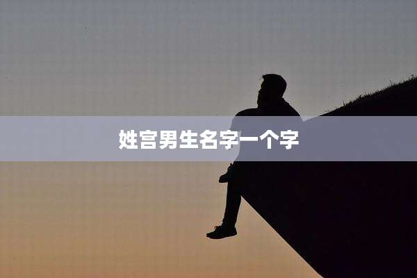 姓宫男生名字一个字