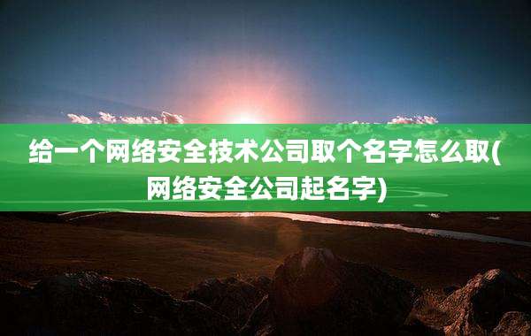 给一个网络安全技术公司取个名字怎么取(网络安全公司起名字)