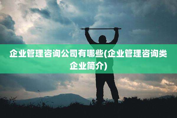 企业管理咨询公司有哪些(企业管理咨询类企业简介)
