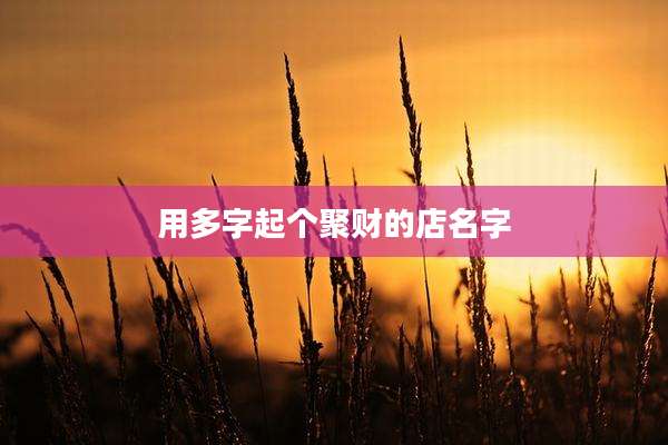 用多字起个聚财的店名字
