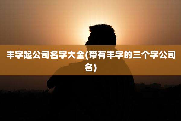 丰字起公司名字大全(带有丰字的三个字公司名)