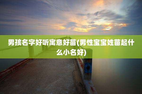 男孩名字好听寓意好苗(男性宝宝姓苗起什么小名好)