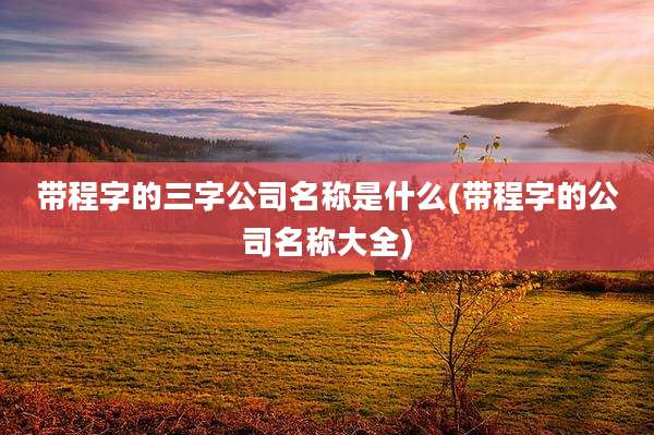 带程字的三字公司名称是什么(带程字的公司名称大全)