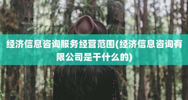 经济信息咨询服务经营范围(经济信息咨询有限公司是干什么的)