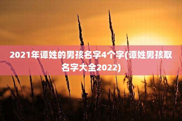 2021年谭姓的男孩名字4个字(谭姓男孩取名字大全2022)