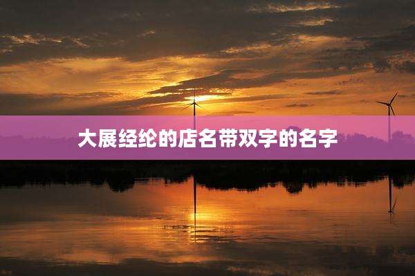 大展经纶的店名带双字的名字