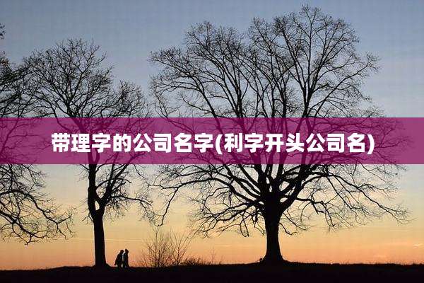 带理字的公司名字(利字开头公司名)