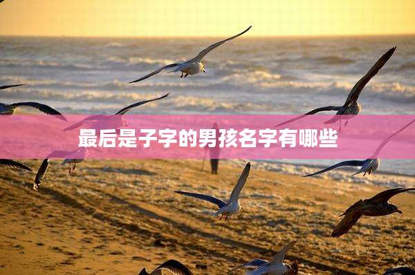 最后是子字的男孩名字有哪些