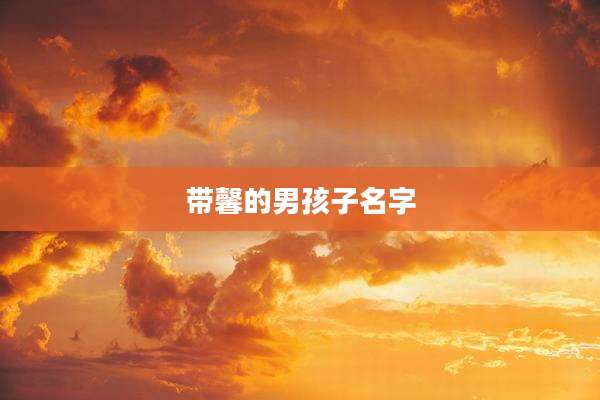 带馨的男孩子名字