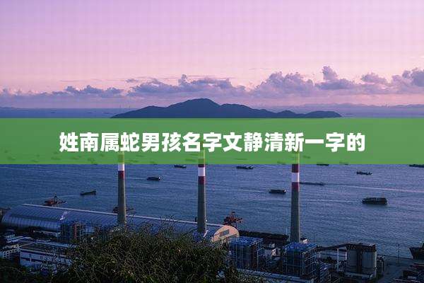 姓南属蛇男孩名字文静清新一字的