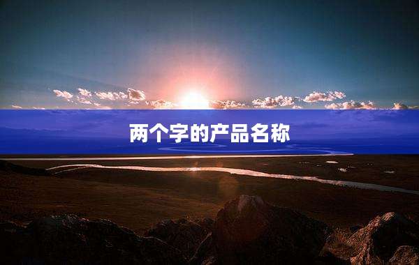 两个字的产品名称