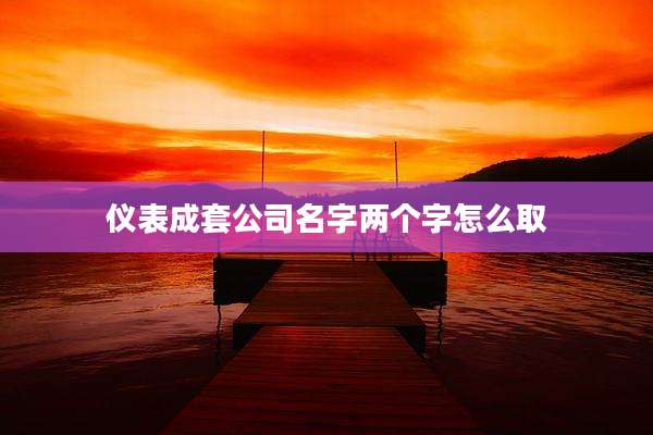 仪表成套公司名字两个字怎么取
