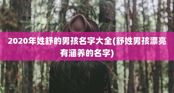 2020年姓舒的男孩名字大全(舒姓男孩漂亮有涵养的名字)