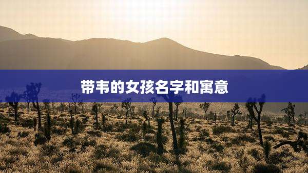 带韦的女孩名字和寓意