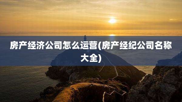 房产经济公司怎么运营(房产经纪公司名称大全)