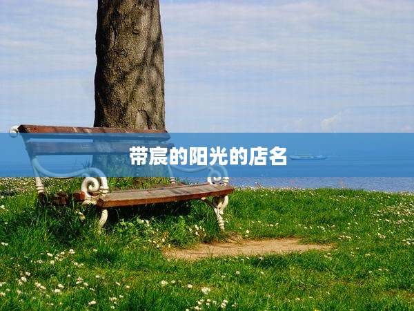 带宸的阳光的店名