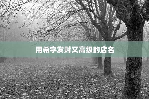 用希字发财又高级的店名