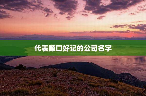 代表顺口好记的公司名字