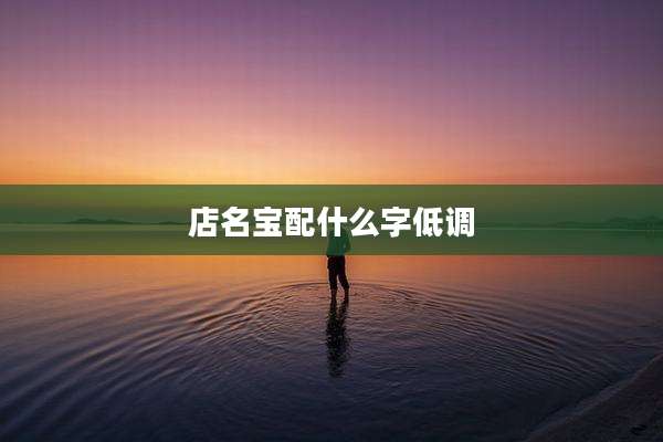 店名宝配什么字低调