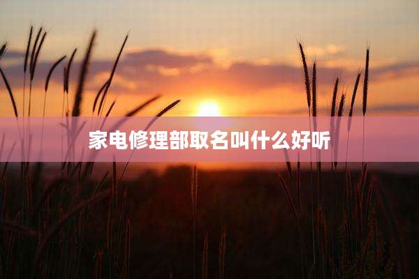 家电修理部取名叫什么好听