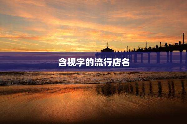 含视字的流行店名