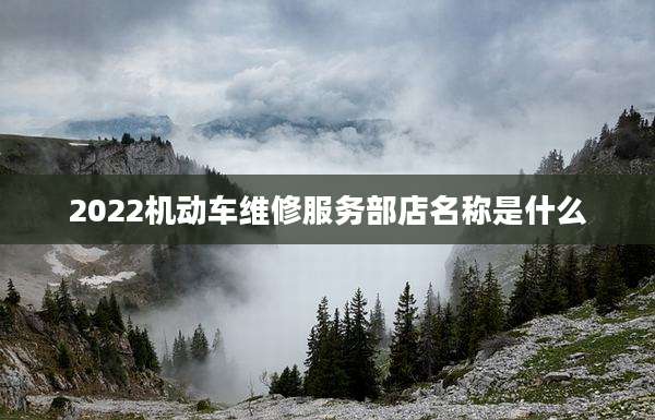 2022机动车维修服务部店名称是什么