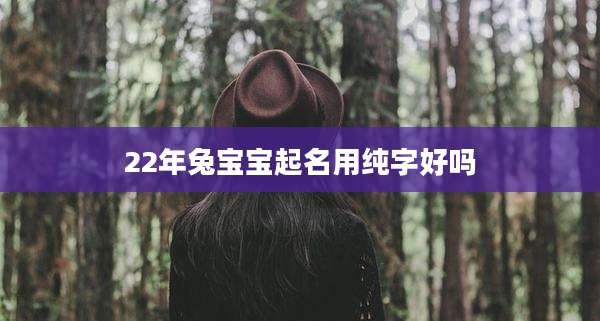 22年兔宝宝起名用纯字好吗