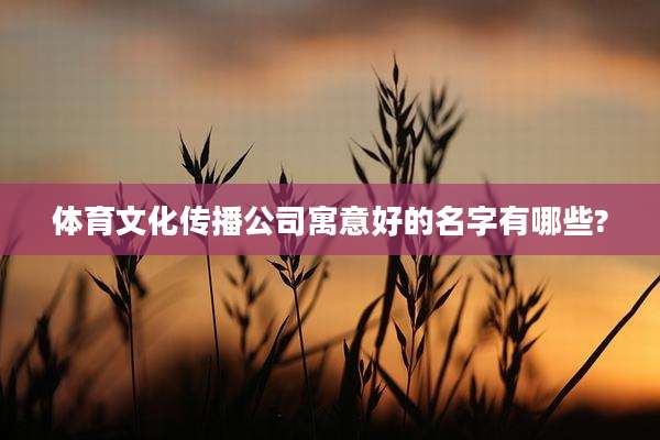 体育文化传播公司寓意好的名字有哪些?