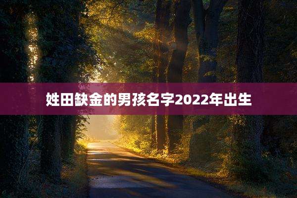 姓田缺金的男孩名字2022年出生