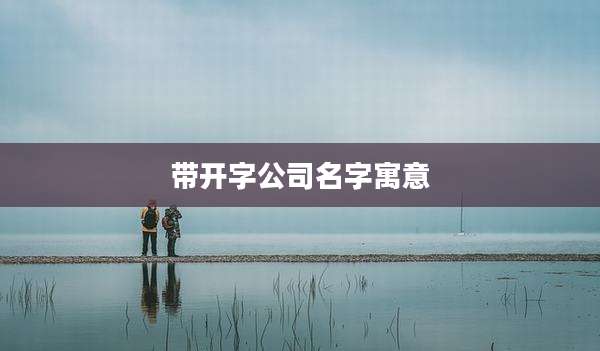 带开字公司名字寓意