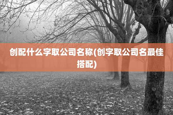 创配什么字取公司名称(创字取公司名最佳搭配)