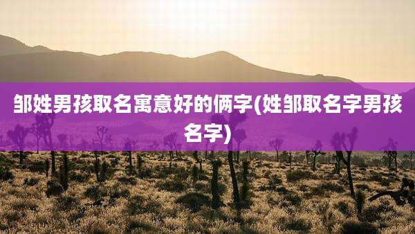 邹姓男孩取名寓意好的俩字(姓邹取名字男孩名字)