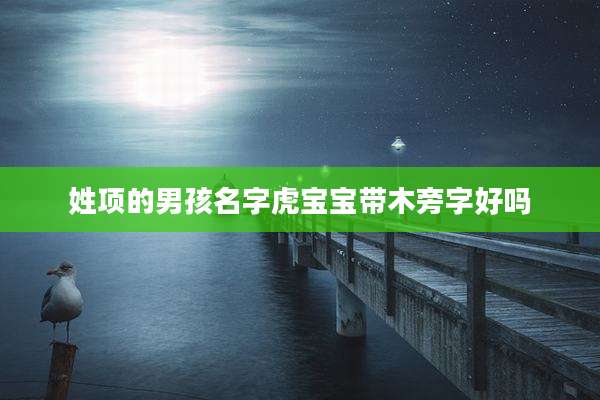姓项的男孩名字虎宝宝带木旁字好吗