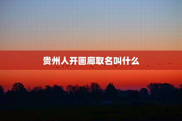 贵州人开画廊取名叫什么