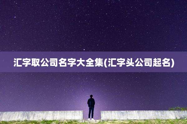 汇字取公司名字大全集(汇字头公司起名)