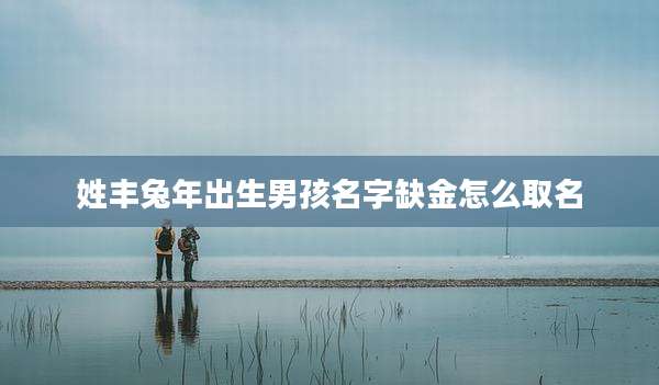 姓丰兔年出生男孩名字缺金怎么取名
