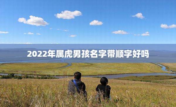 2022年属虎男孩名字带顺字好吗