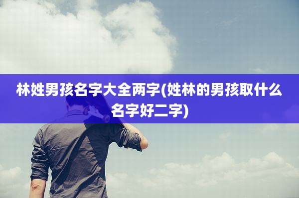 林姓男孩名字大全两字(姓林的男孩取什么名字好二字)