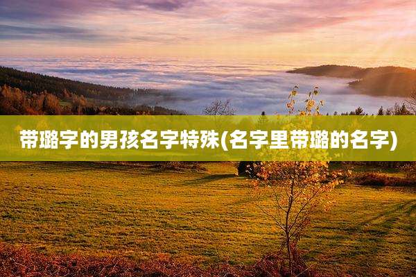 带璐字的男孩名字特殊(名字里带璐的名字)