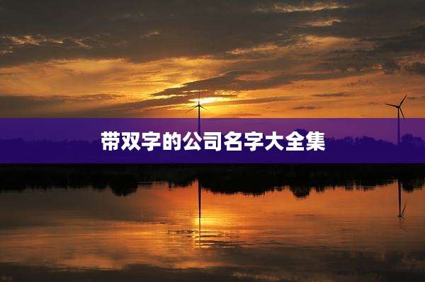 带双字的公司名字大全集