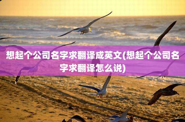 想起个公司名字求翻译成英文(想起个公司名字求翻译怎么说)