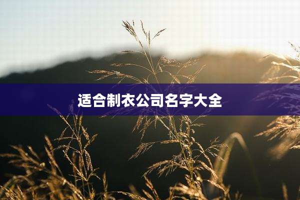 适合制衣公司名字大全