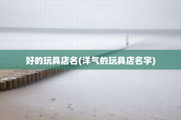 好的玩具店名(洋气的玩具店名字)