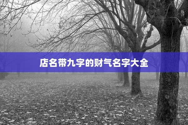 店名带九字的财气名字大全
