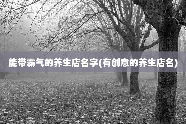 能带霸气的养生店名字(有创意的养生店名)