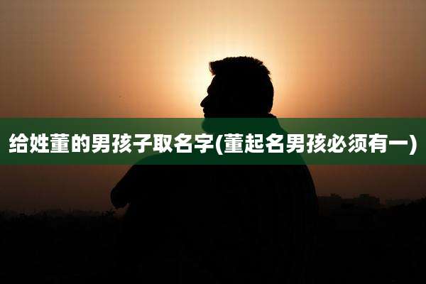 给姓董的男孩子取名字(董起名男孩必须有一)