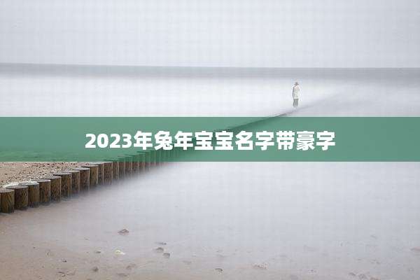 2023年兔年宝宝名字带豪字
