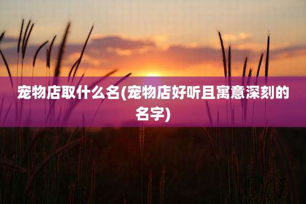 宠物店取什么名(宠物店好听且寓意深刻的名字)
