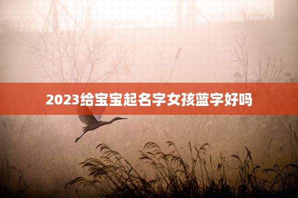 2023给宝宝起名字女孩蓝字好吗
